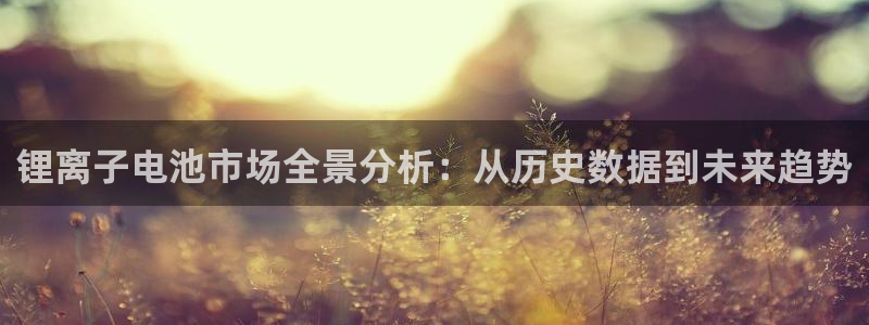 下载tp钱包并安装好了怎么用