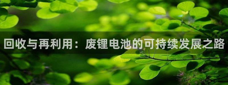 tpt数字钱包