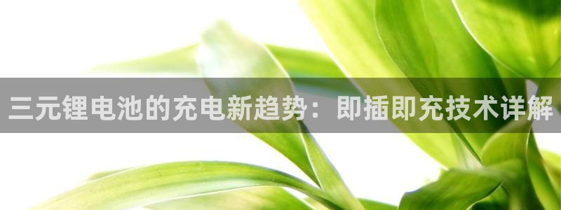 钱包tp官方在哪可以下载