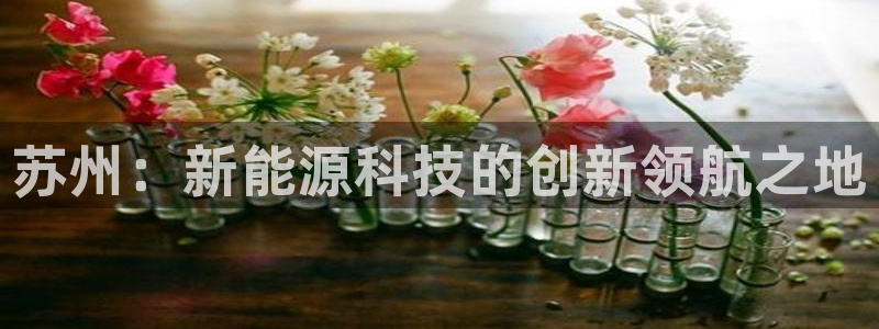 2021年9月tp钱包空投骗局