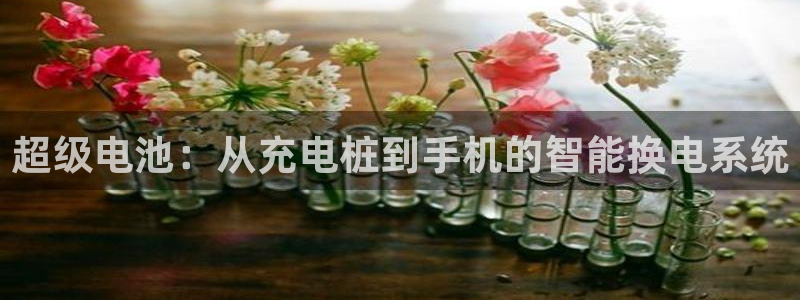 tp钱包bsc地址在哪里