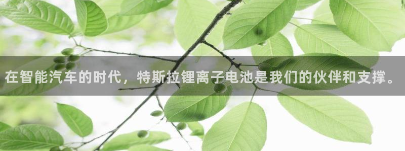 下载TP_LINK监控：在智能汽车的时代