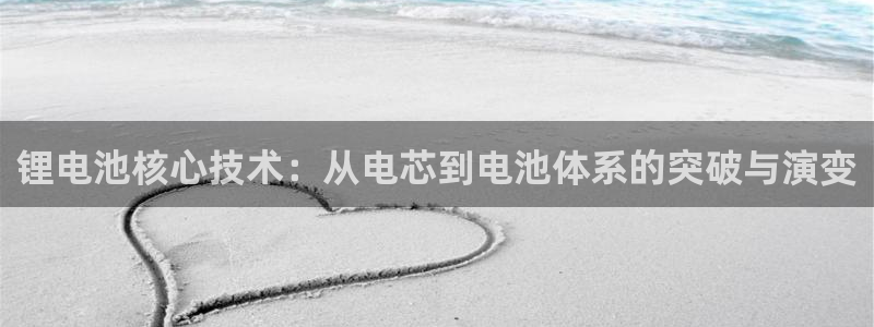 tp钱包怎样启用谷歌验证：锂电池核心技术