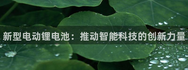 tp钱包下载：新型电动锂电池：推动智能科